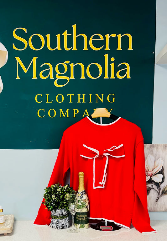 Big Bow Knot Contrast Trim Sweater