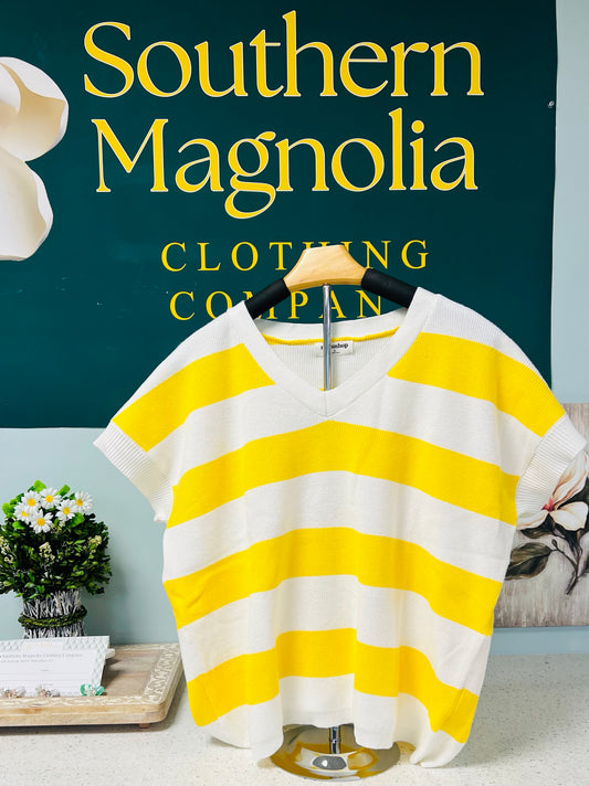 Vibrant Striped Short Sleeve Sweater Knit Top