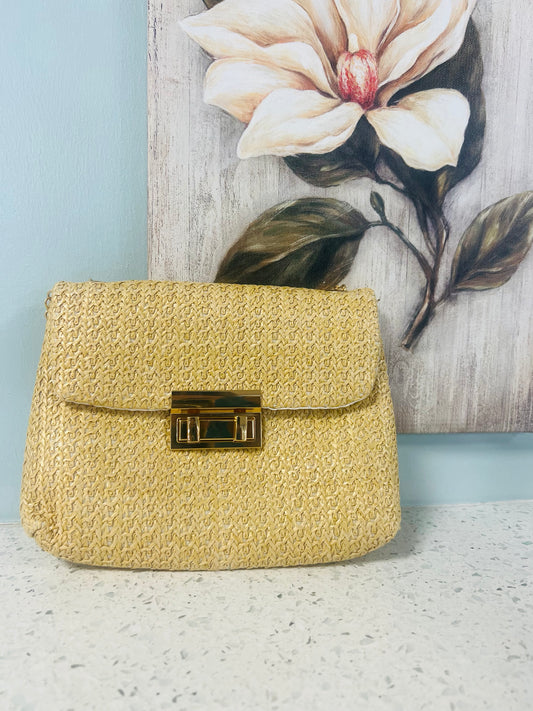 Sandy Luxe Purse