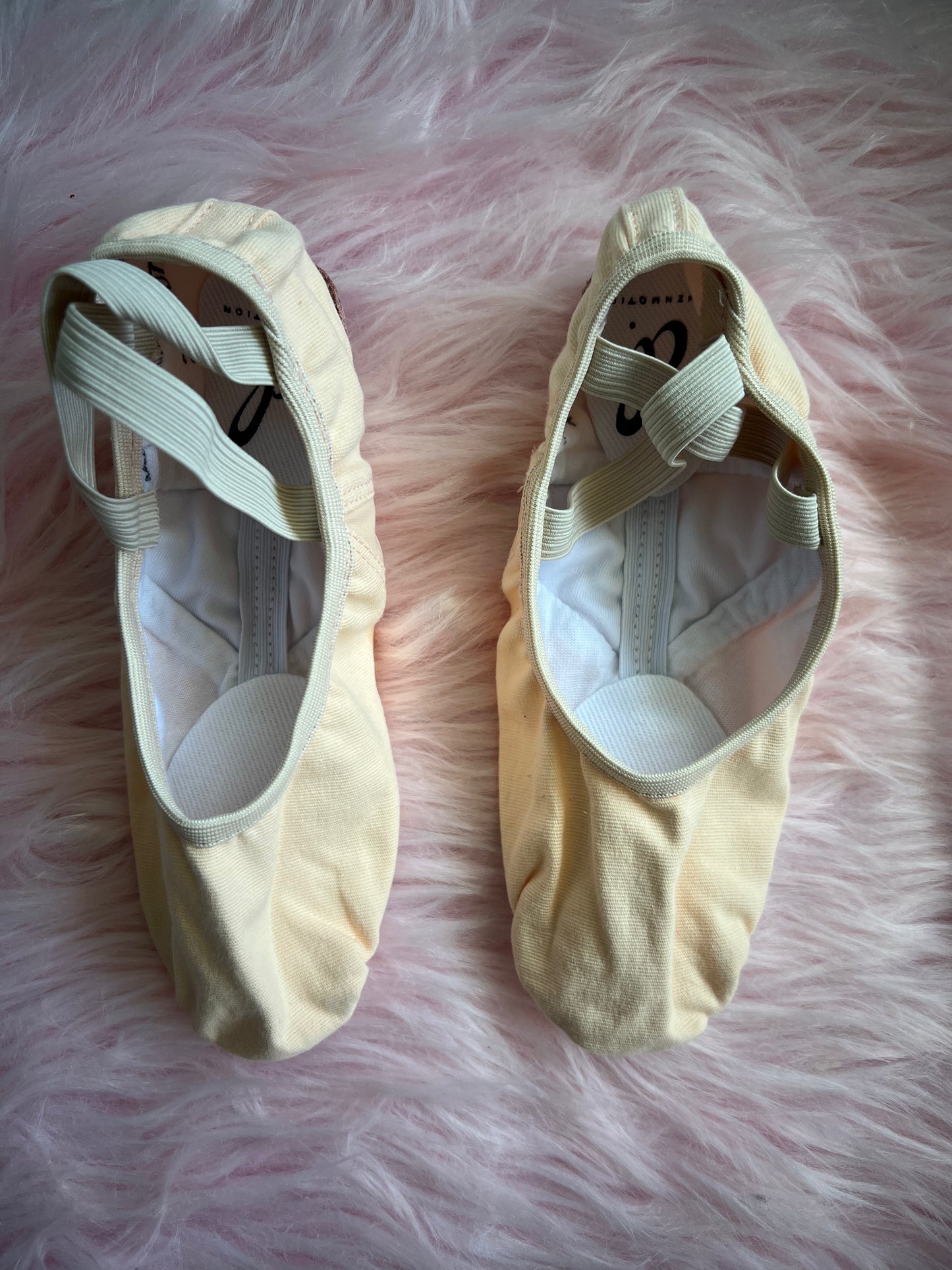 Canvas Stretch Ballet