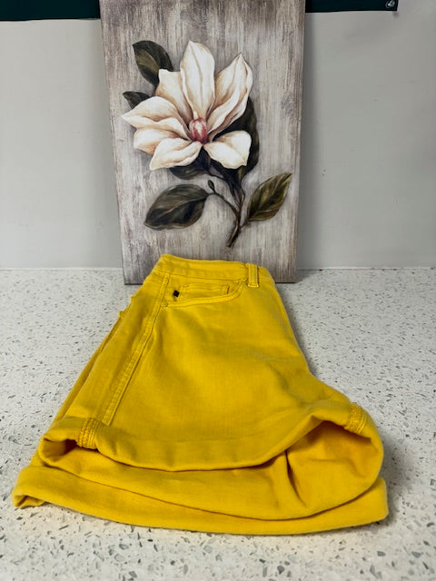 Judy Blue Tummy Control Shorts