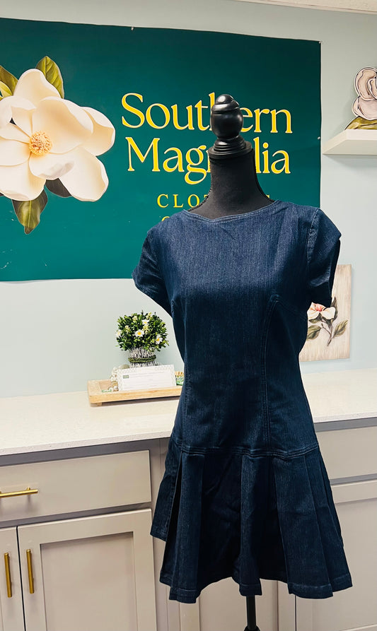 Denim Open Back Ribbon Mini Dress