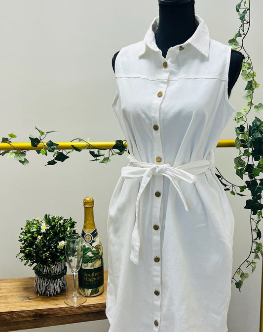 Timeless Ivory Dress
